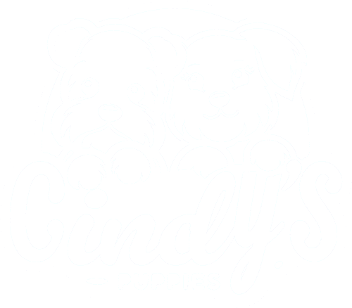 Cindy's Puppies
